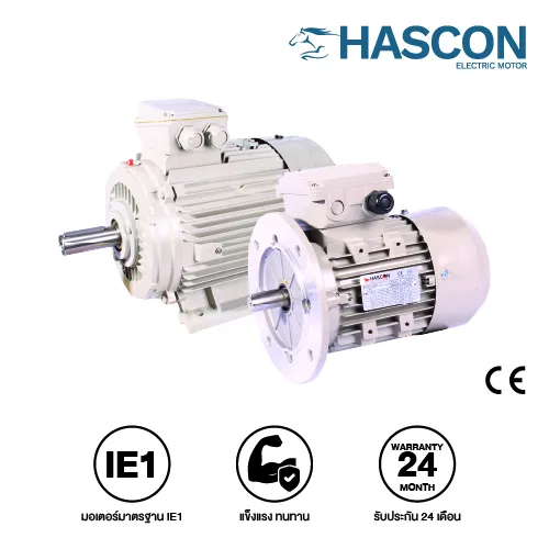 มอเตอร์ไฟฟ้า Hascon รุ่น IE1