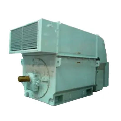 TATUNG High Voltage Induction Motor