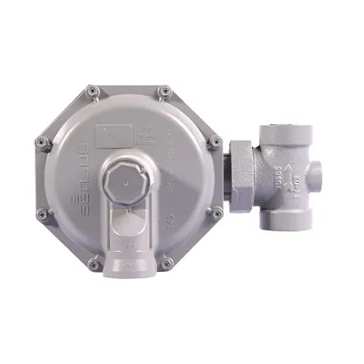 Low Pressure Regulator — แหล่งอ้างอิง TN Metalworks