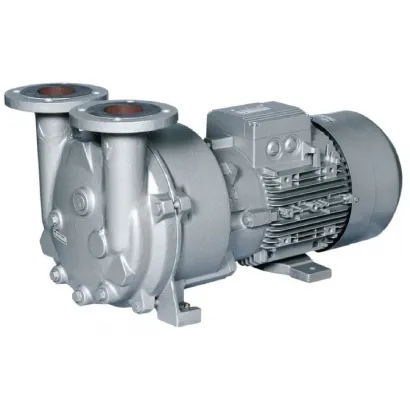 Compact Liquid Ring Pumps (L-Series)